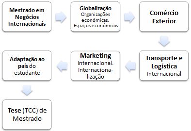 Mestrado à distância online em Negócios Internacionais (MIB)
